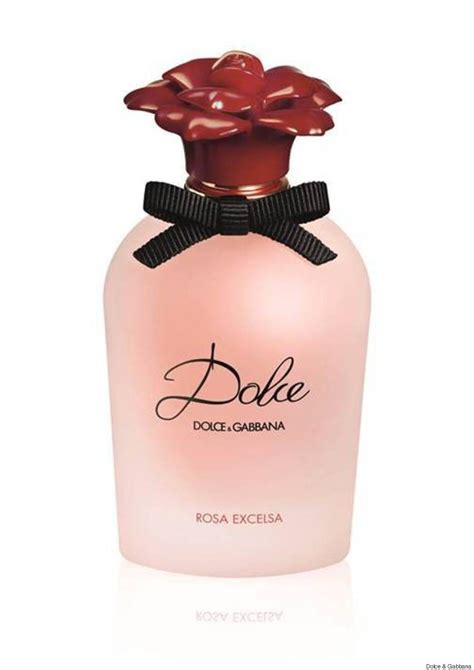 dolce & gabbana shirt women's|dolce perfume.